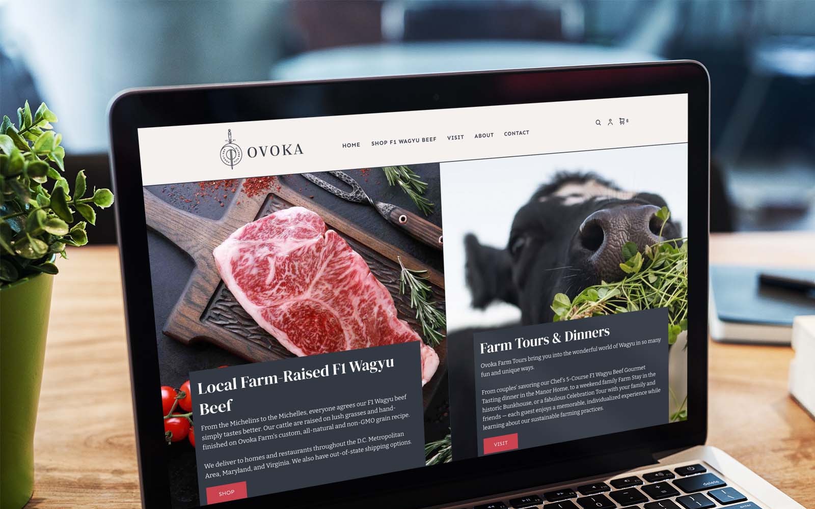 A product page open on a laptop